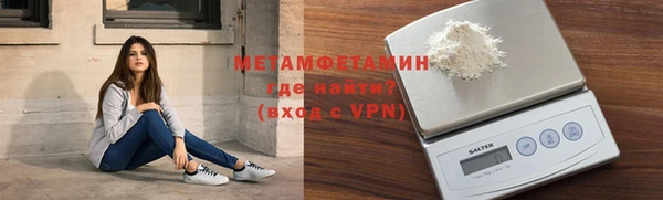гидра Надым