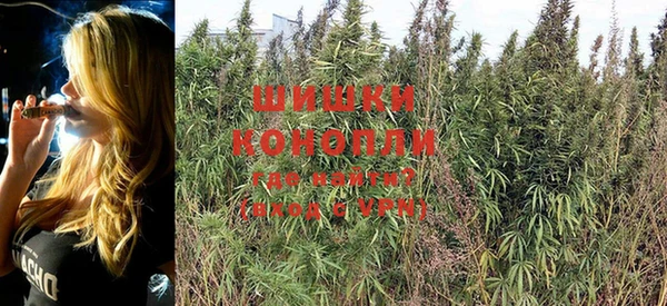 PSILOCYBIN Новокубанск