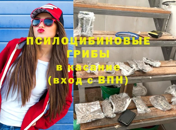 спайс Губаха