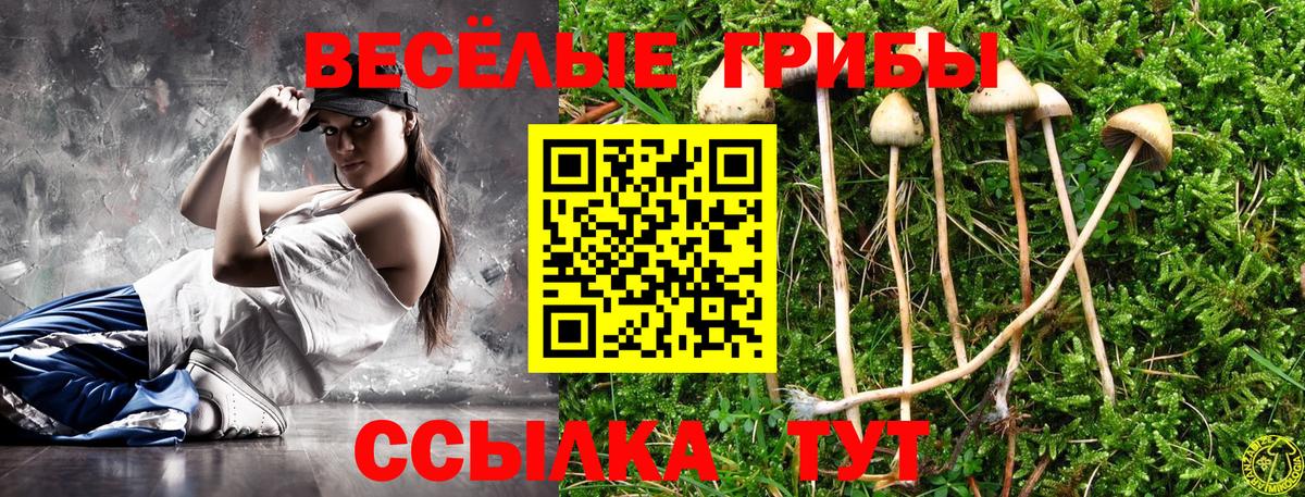 Псилоцибиновые грибы мицелий  Вход с VPN  где купить наркотик  Искитим 