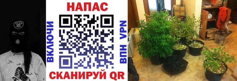 МАРИХУАНА SATIVA & INDICA  KRAKEN зеркало  Искитим 
